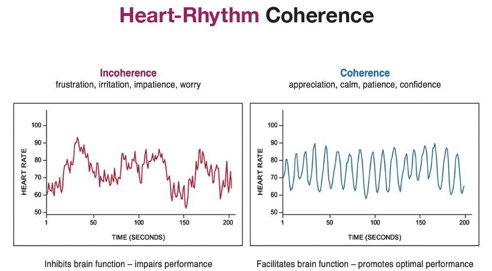 rich results on internet when searching for 'Heart Coherence'